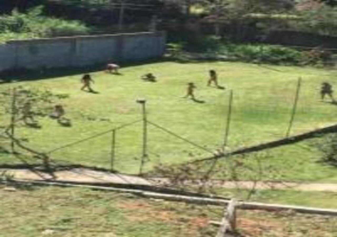 Casa Acolhedora Com Lazer E Espaco Gourmet Casa de Férias Petrópolis